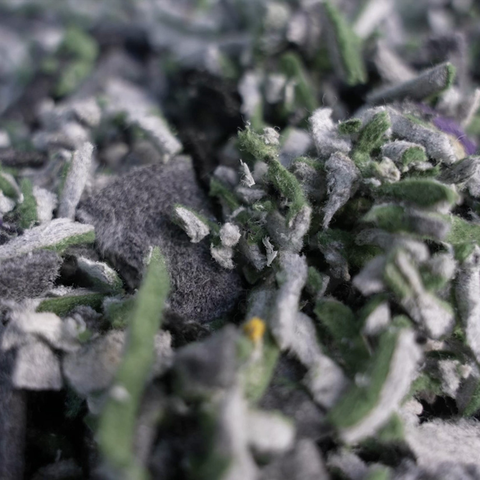 Close-up of recycled PET fibers used to manufacture sustainable acoustic felt panels