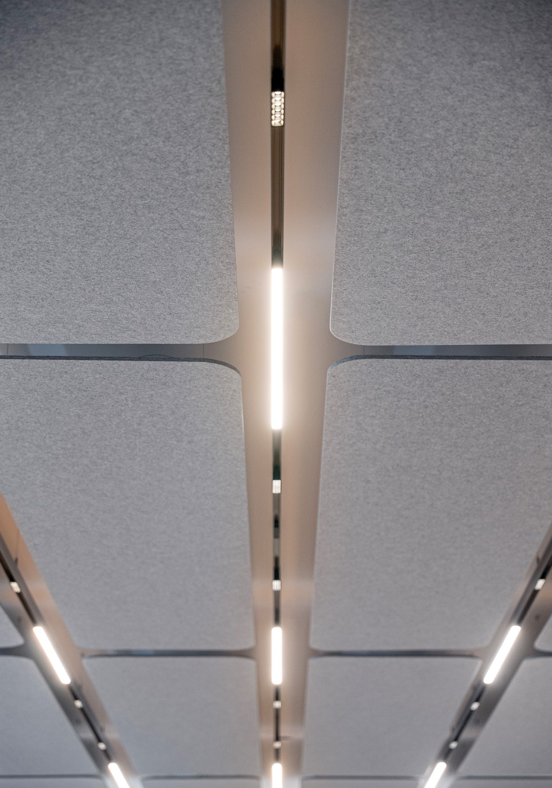 Flat Cloud acoustic ceiling panels with linear lighting at Nobel