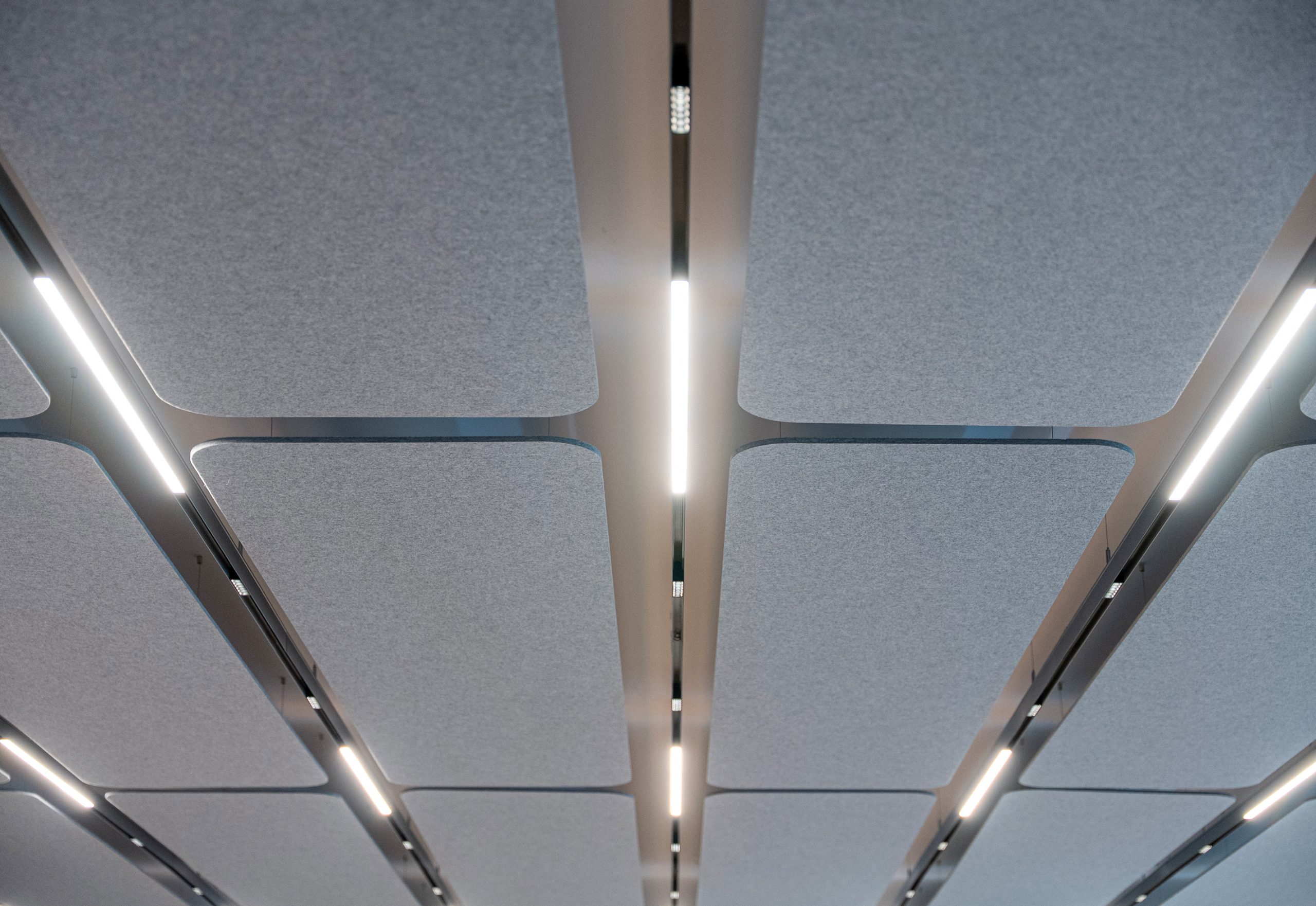 Flat Cloud acoustic ceiling panels with linear lighting at Nobel
