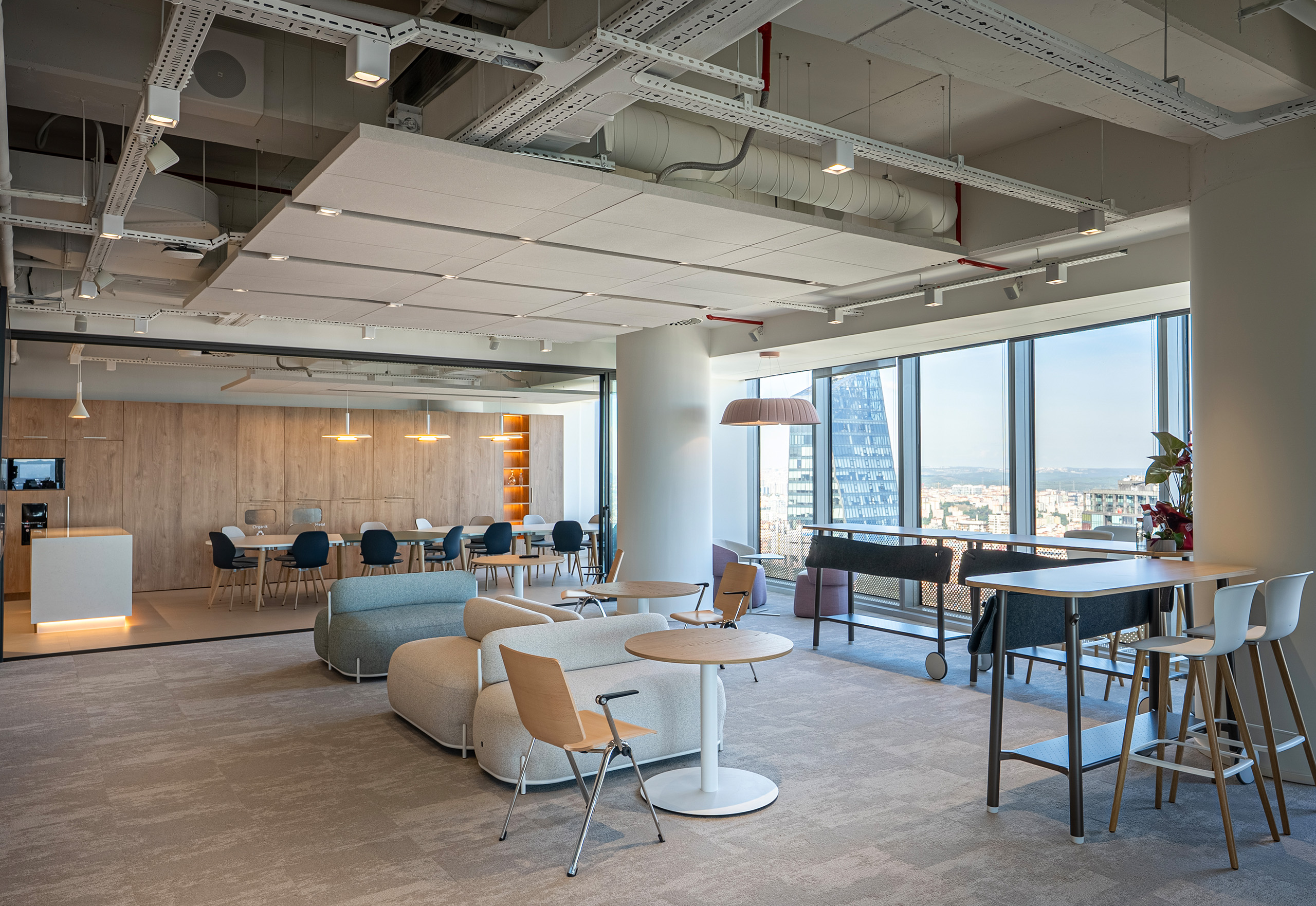 Custom Cloud ceiling panels and Segment acoustic panels in a Caudalie office